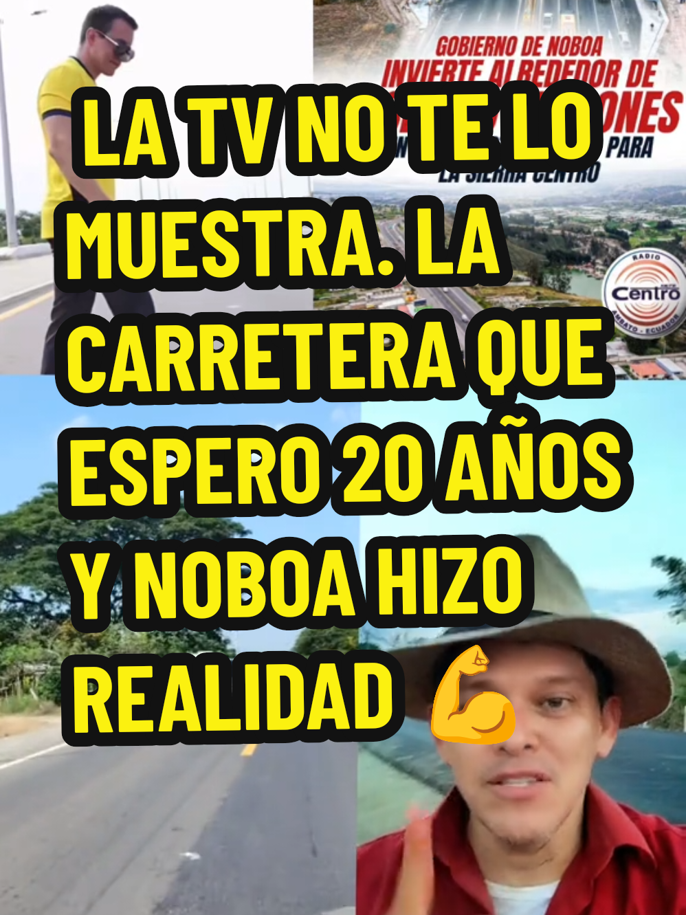 @gatomaiko2.0