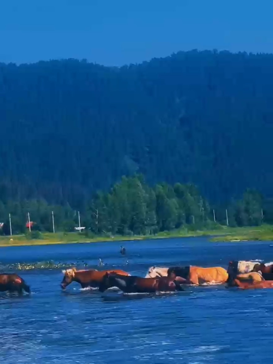 @Шагида888