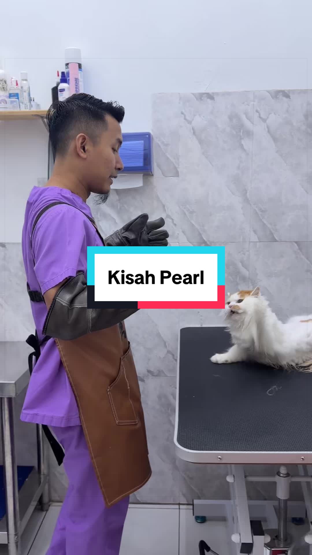 @MOZICAT | CAT GROOMING RAWANG