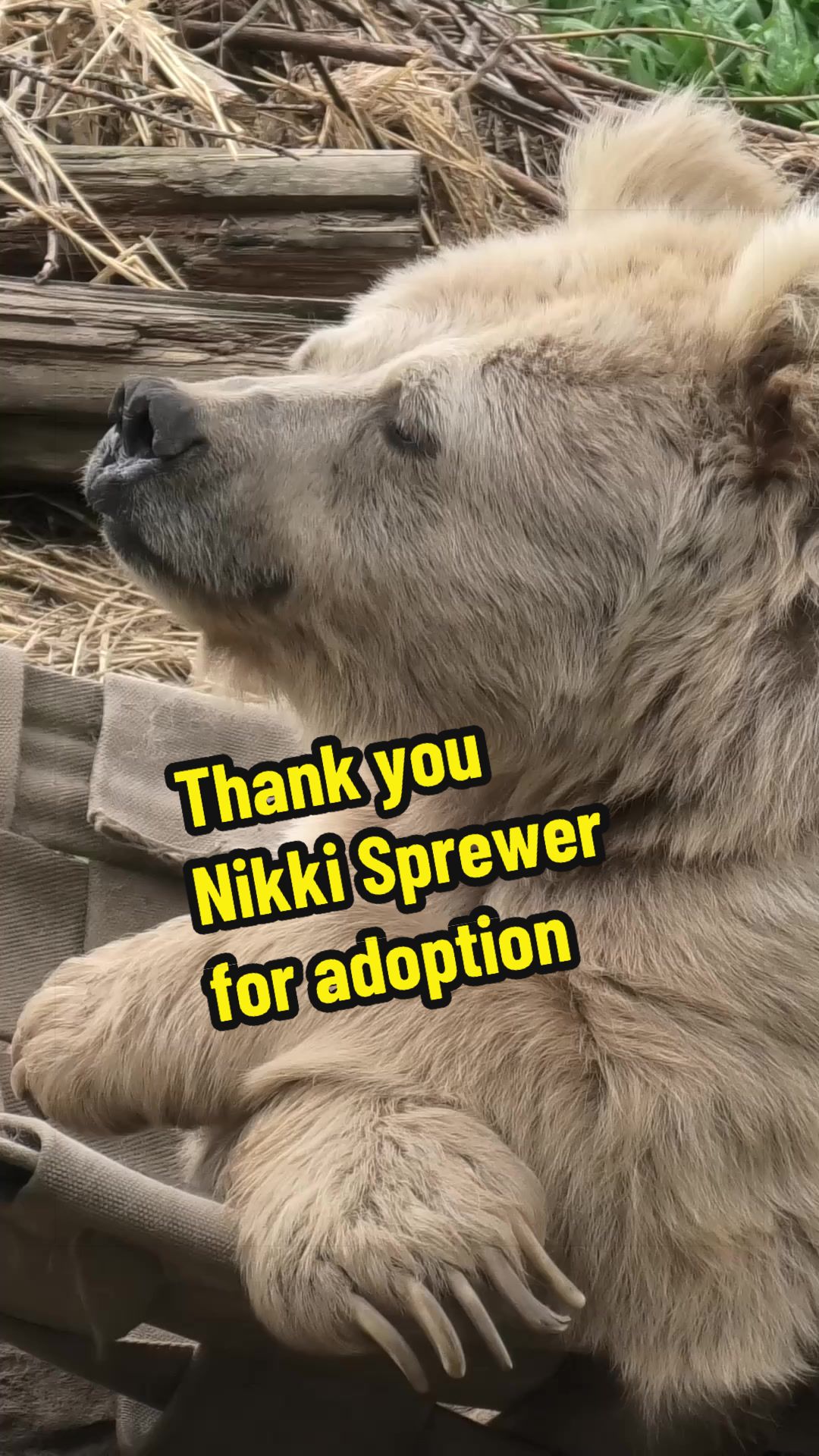 @Whiterock.savewildfund