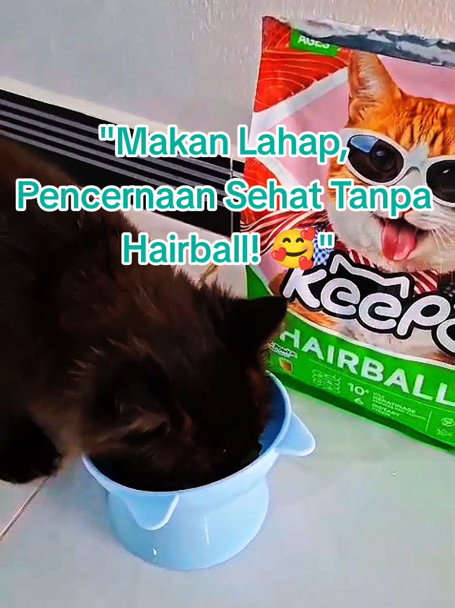 @Medayo Petcare