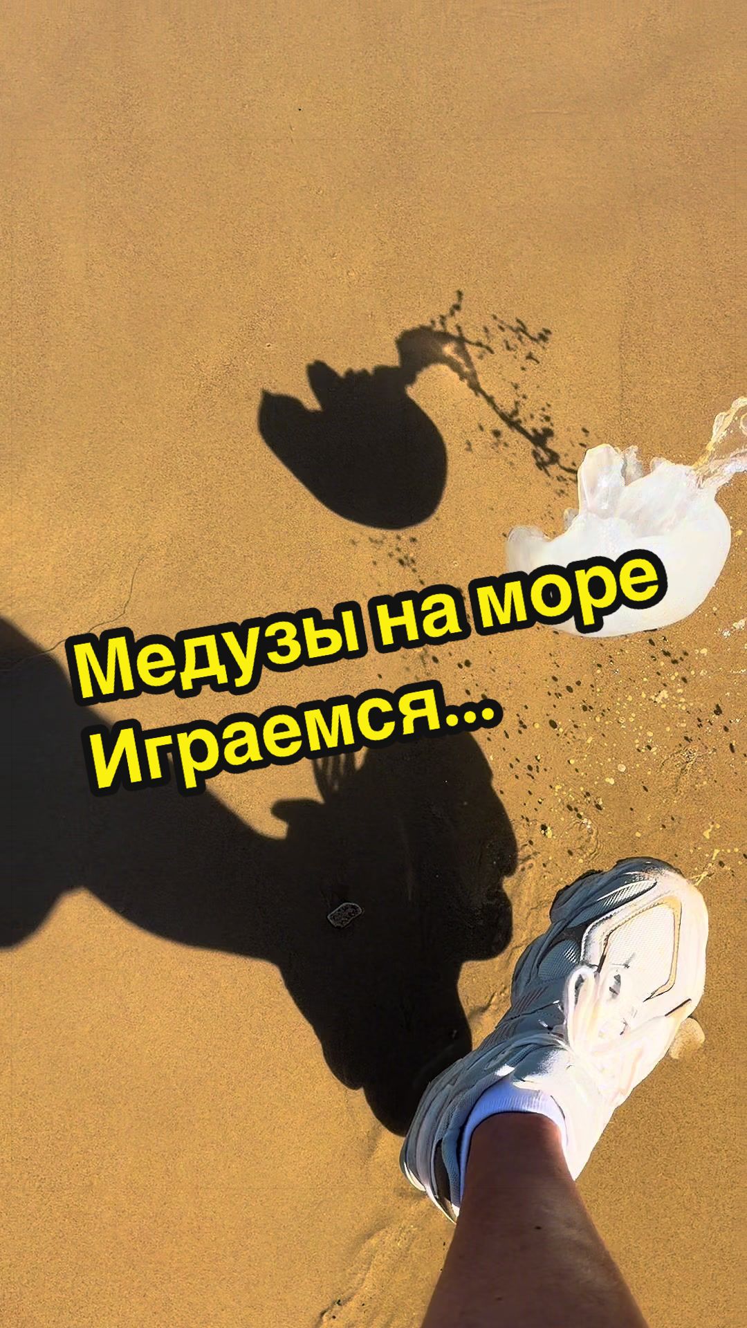 @Evgeniy Goldin