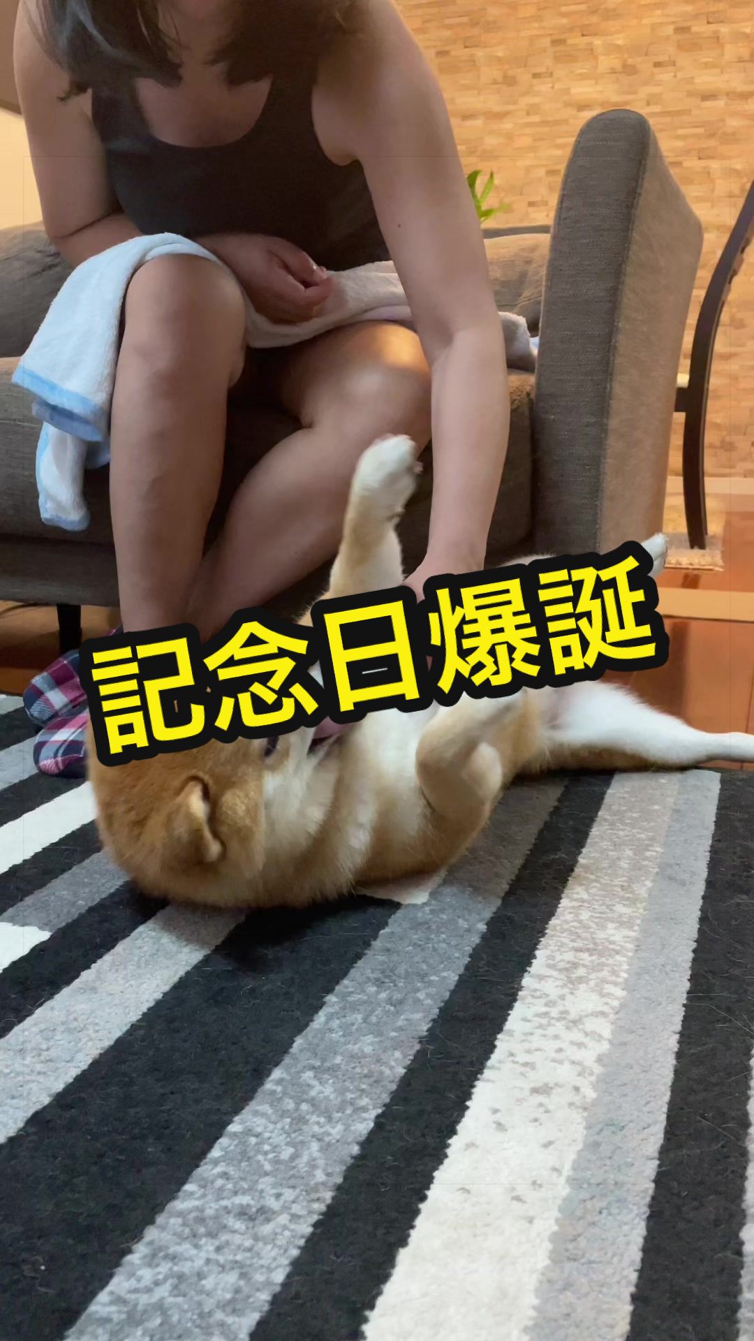 @特に柴犬が好きな人