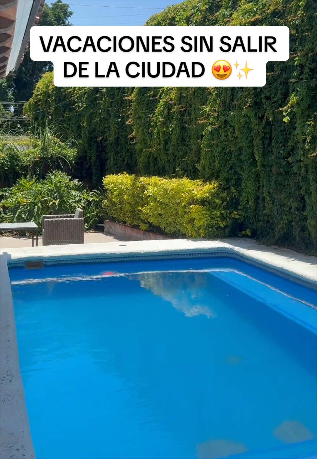 @provechito.gdl