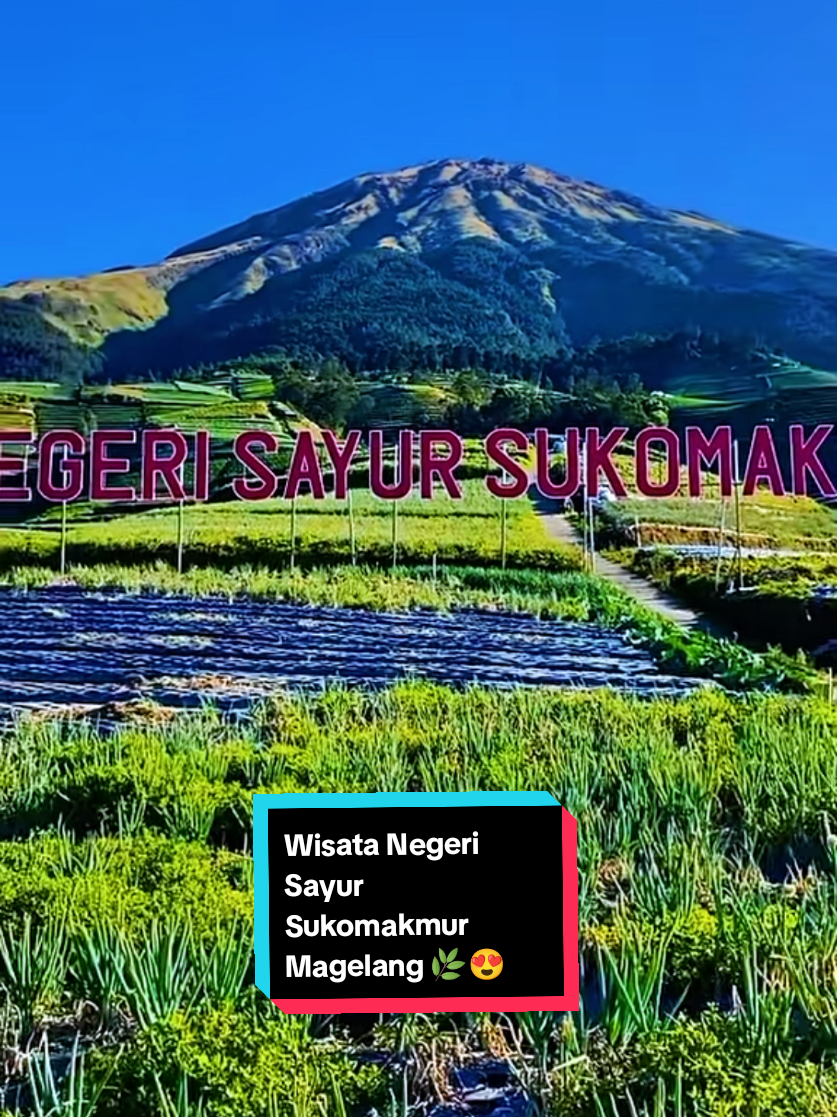 @mlampah2_57