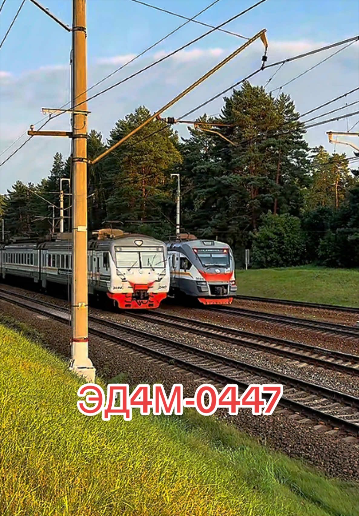 @Zewaka22 🚂