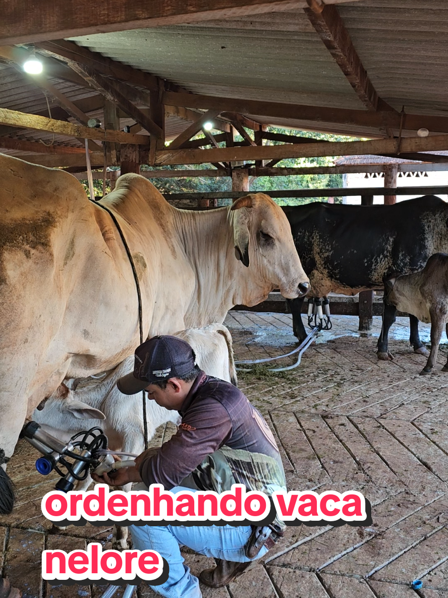 @Geovane neto