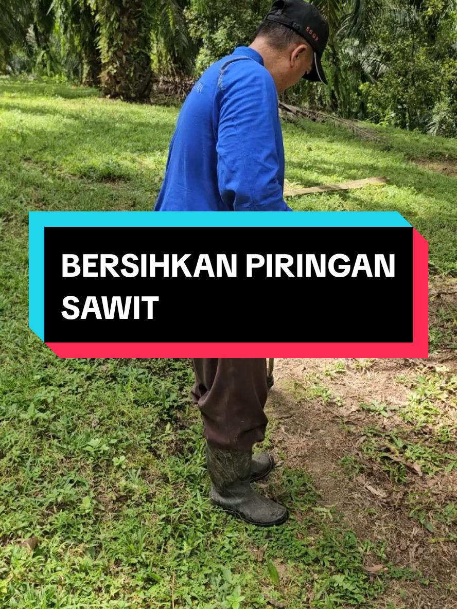 @Mr JARNAWI