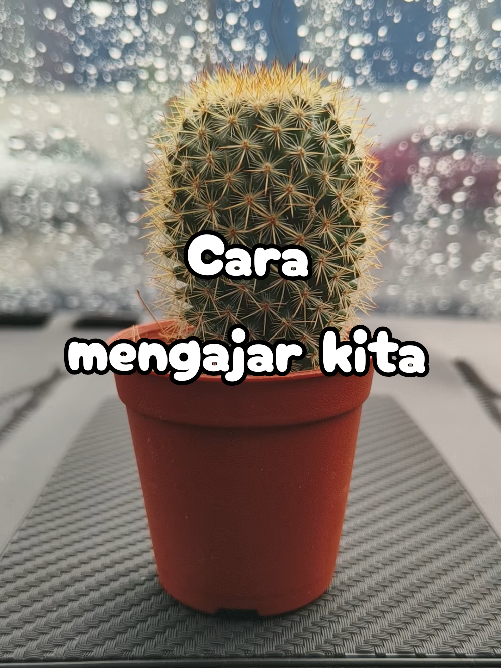 @EIZZwANRoSSY™