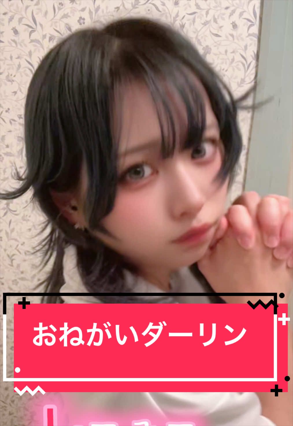 @めめたん🧚&zwj;♀️【One Live】