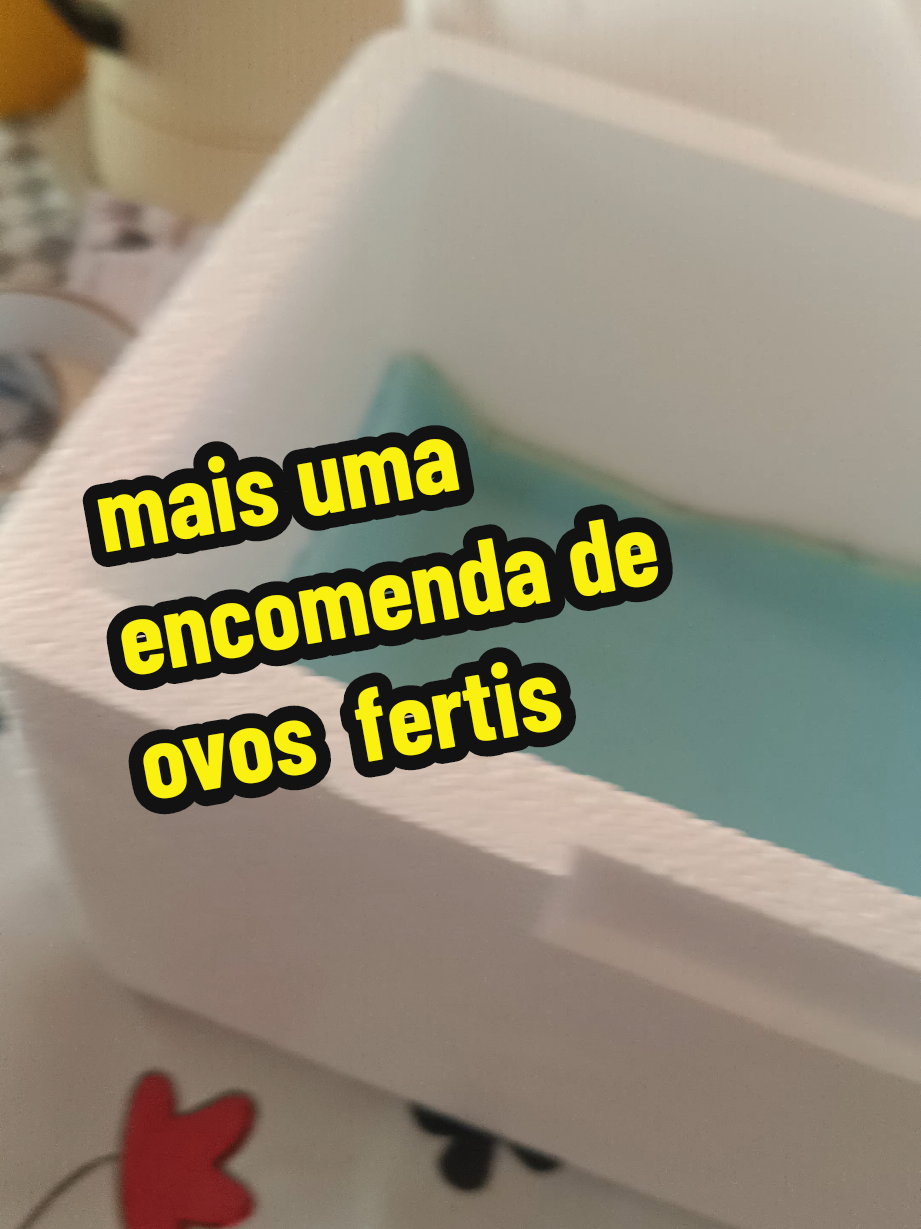 @Elaine Fernandes