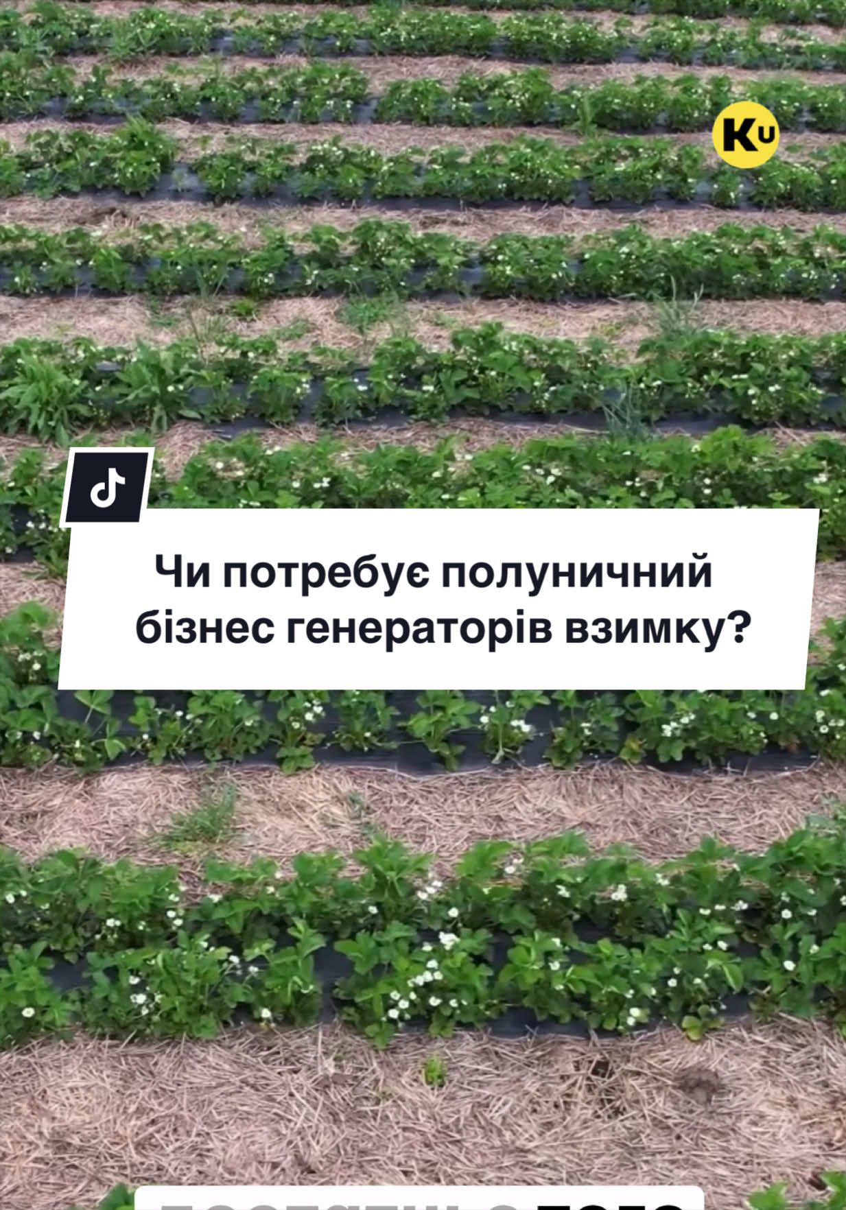 @Ku 🟨🟩 Lati &ndash; Agro Ukraine