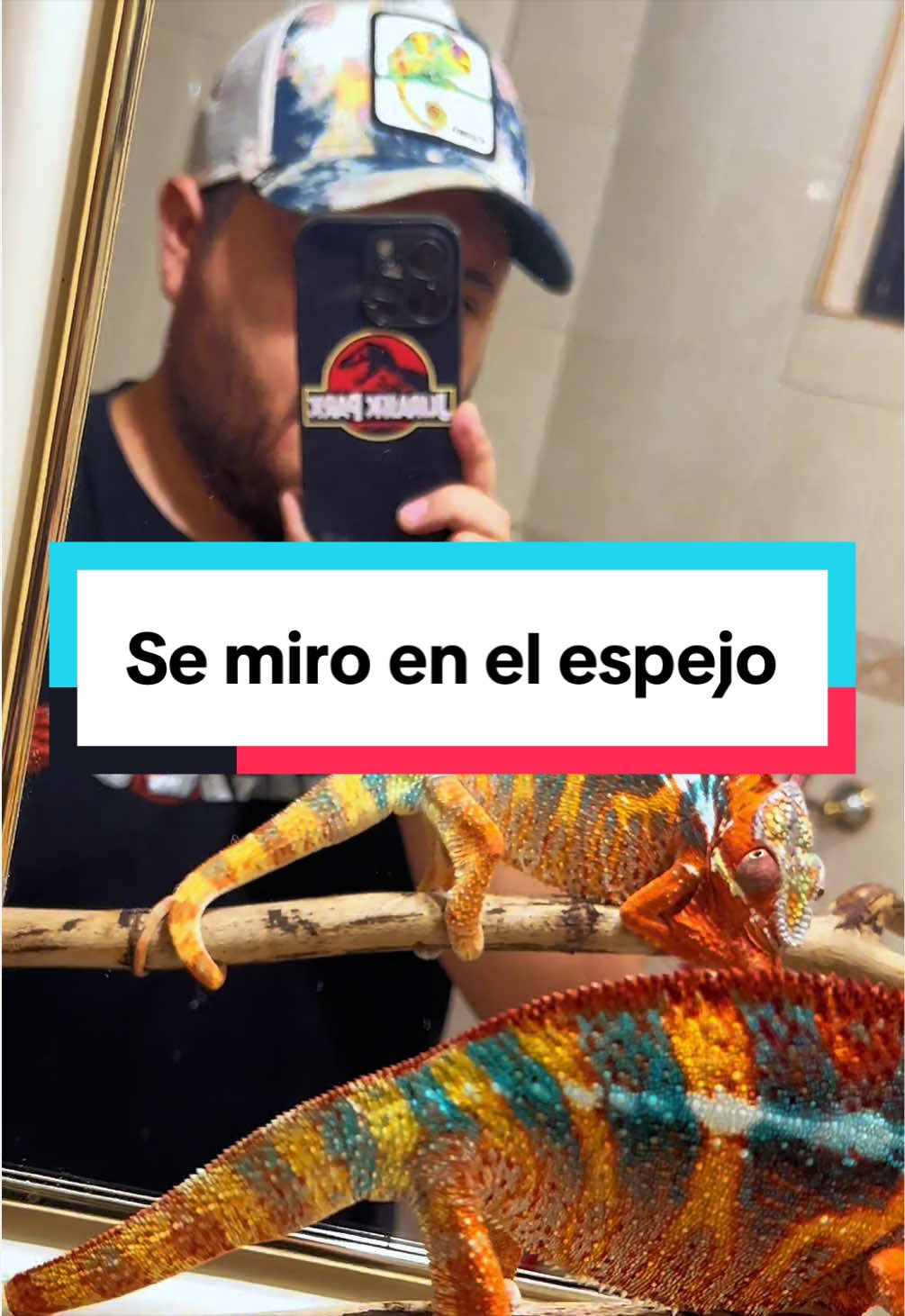 @ReptilMania