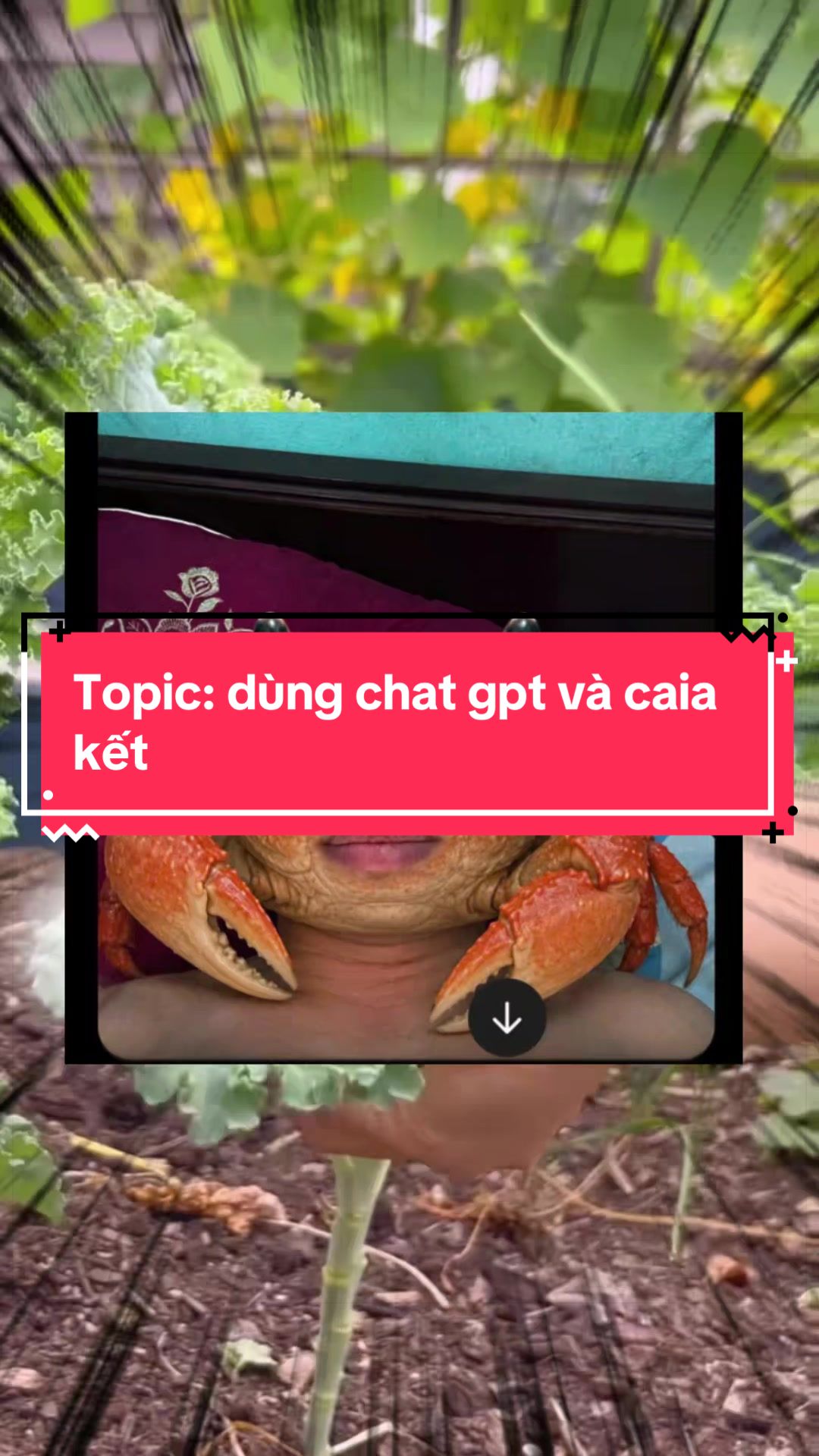 @C͙M͙8͙8͙ Mẩu Chuyện Comment