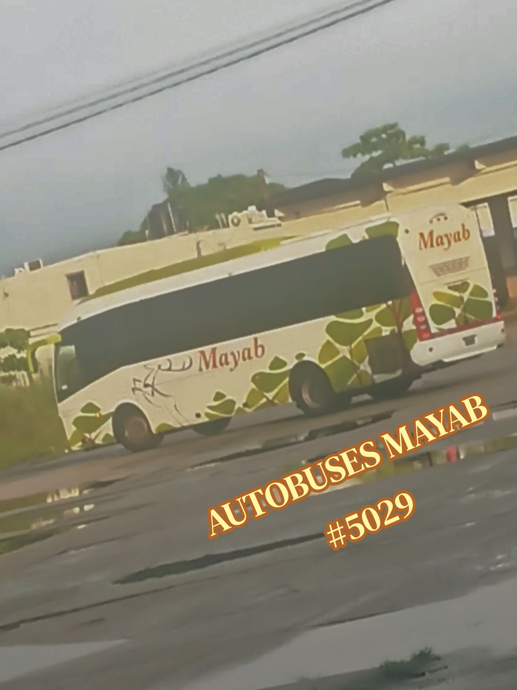 @Busologia Veracruzana 🍀🚍
