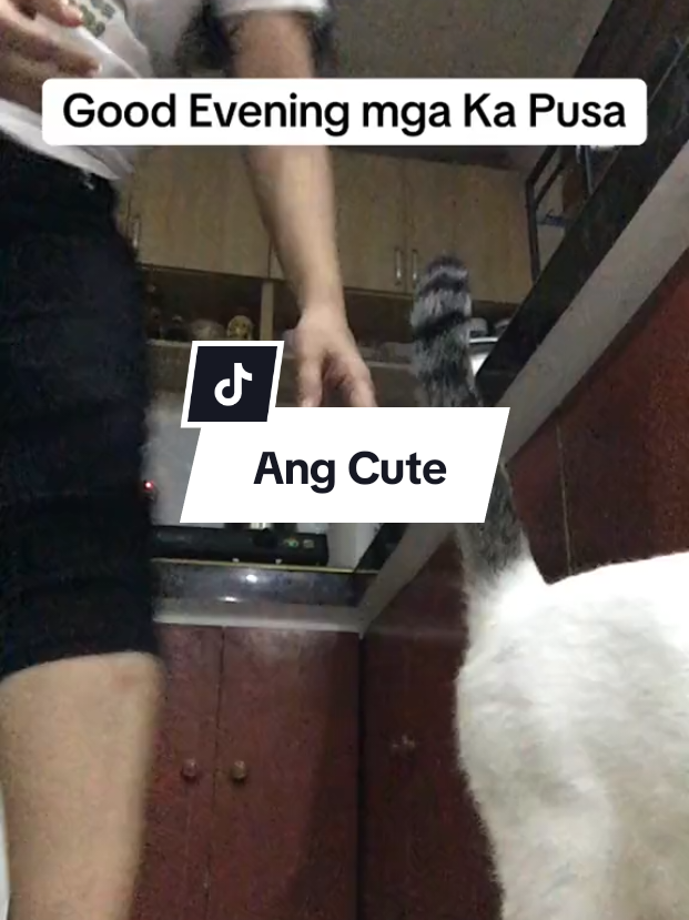 @inday alicia