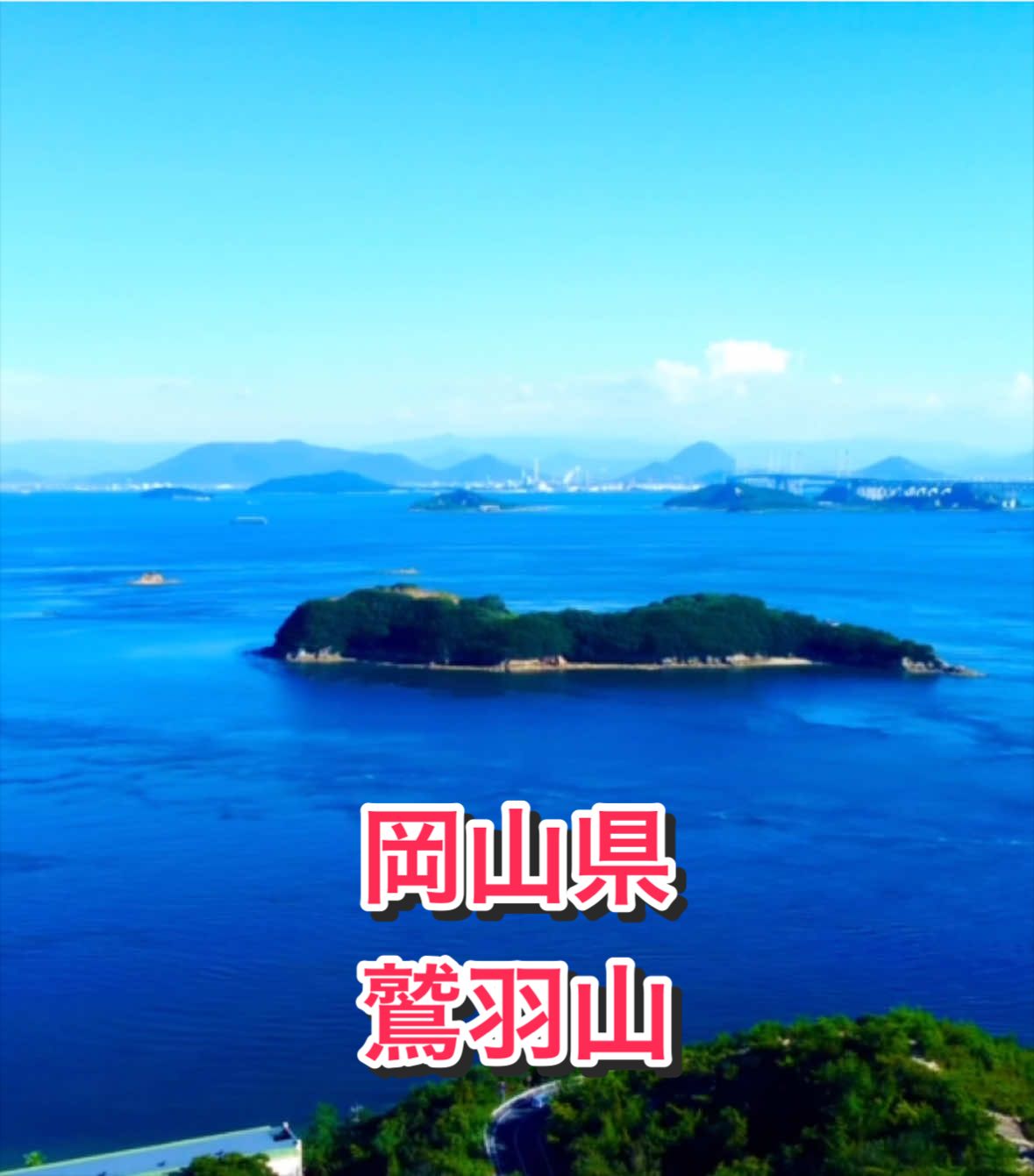 @音丸ぽん🇯🇵