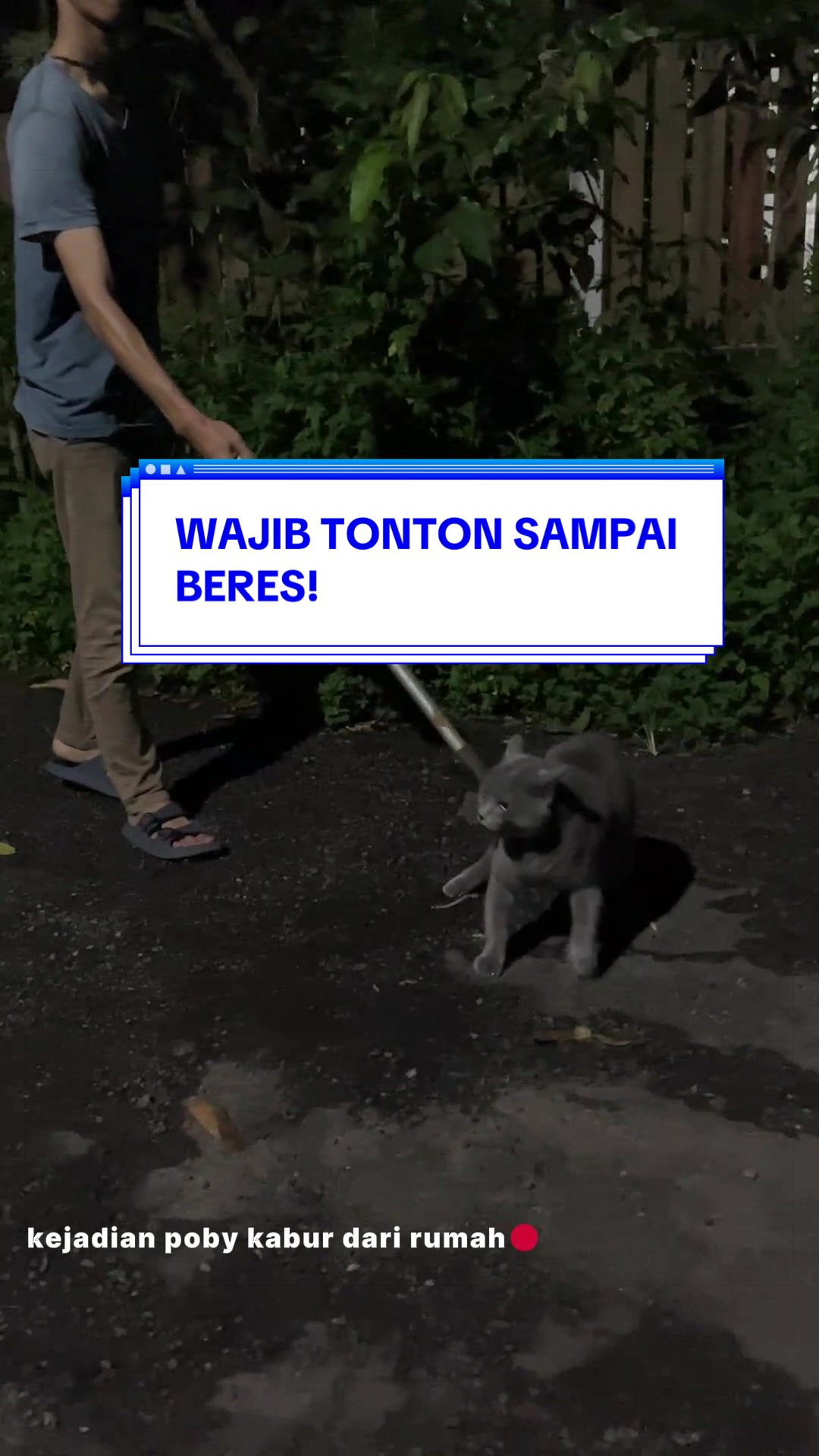@Pororo Official