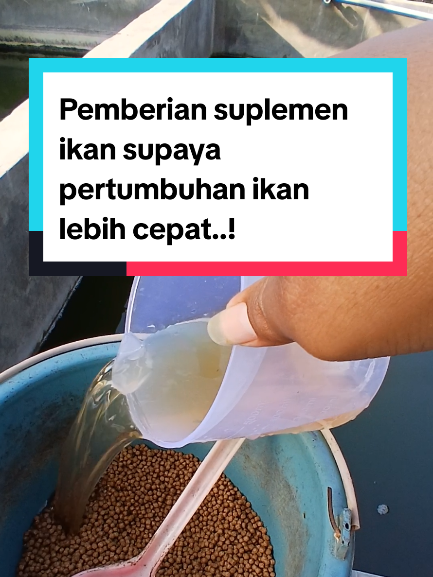 @Kang_Ewi