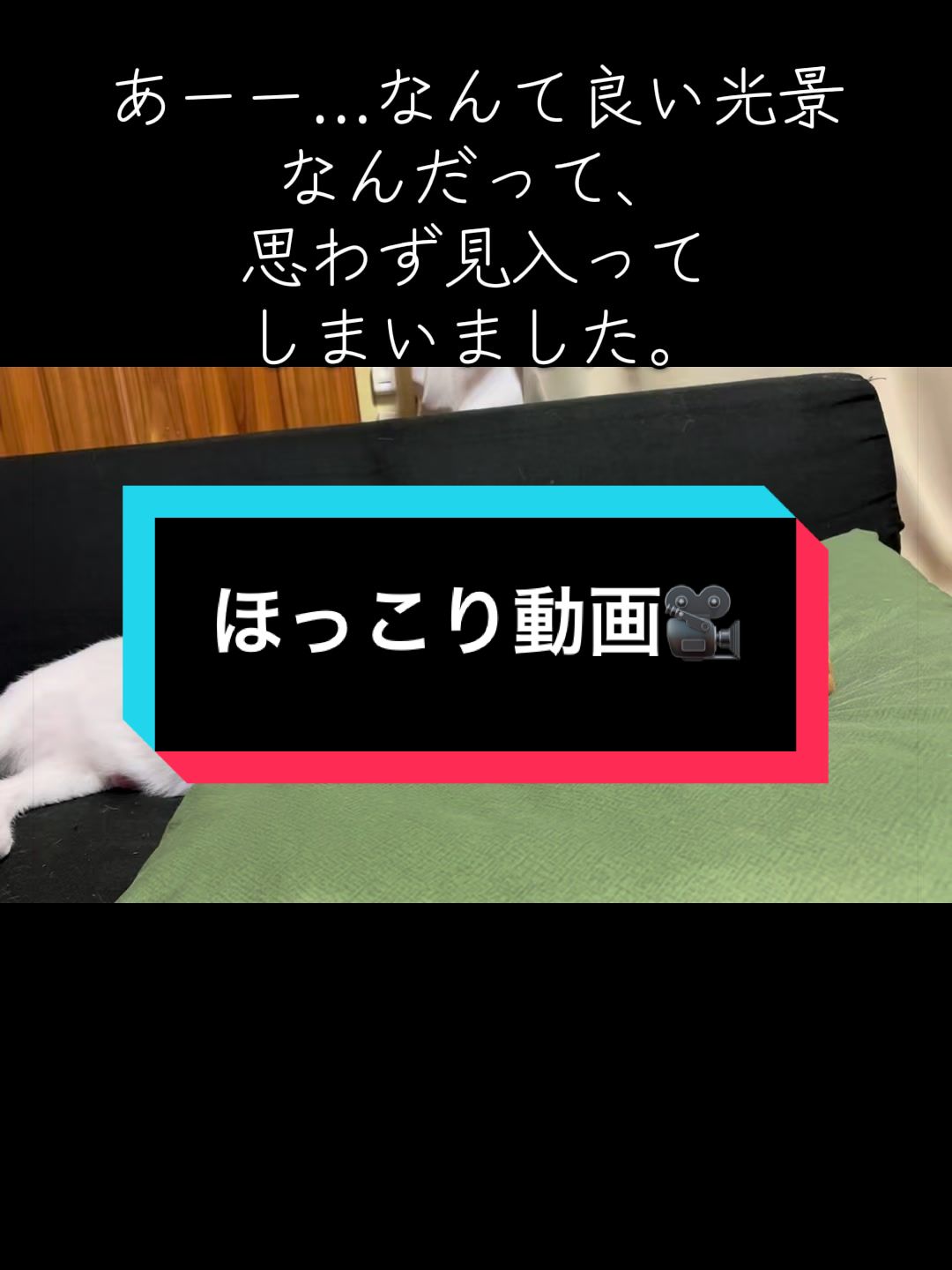 @ブルースカイの倫