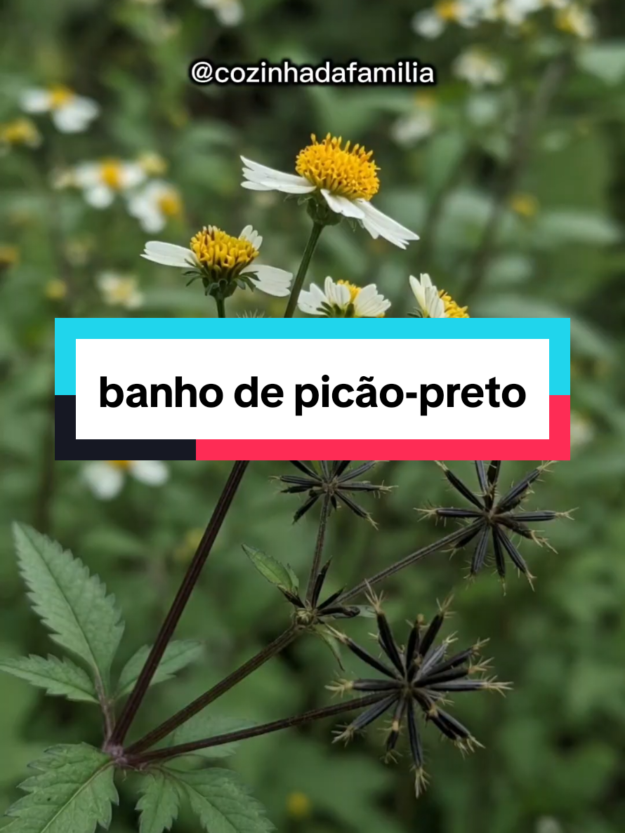 @Dicas e Receitas Naturais