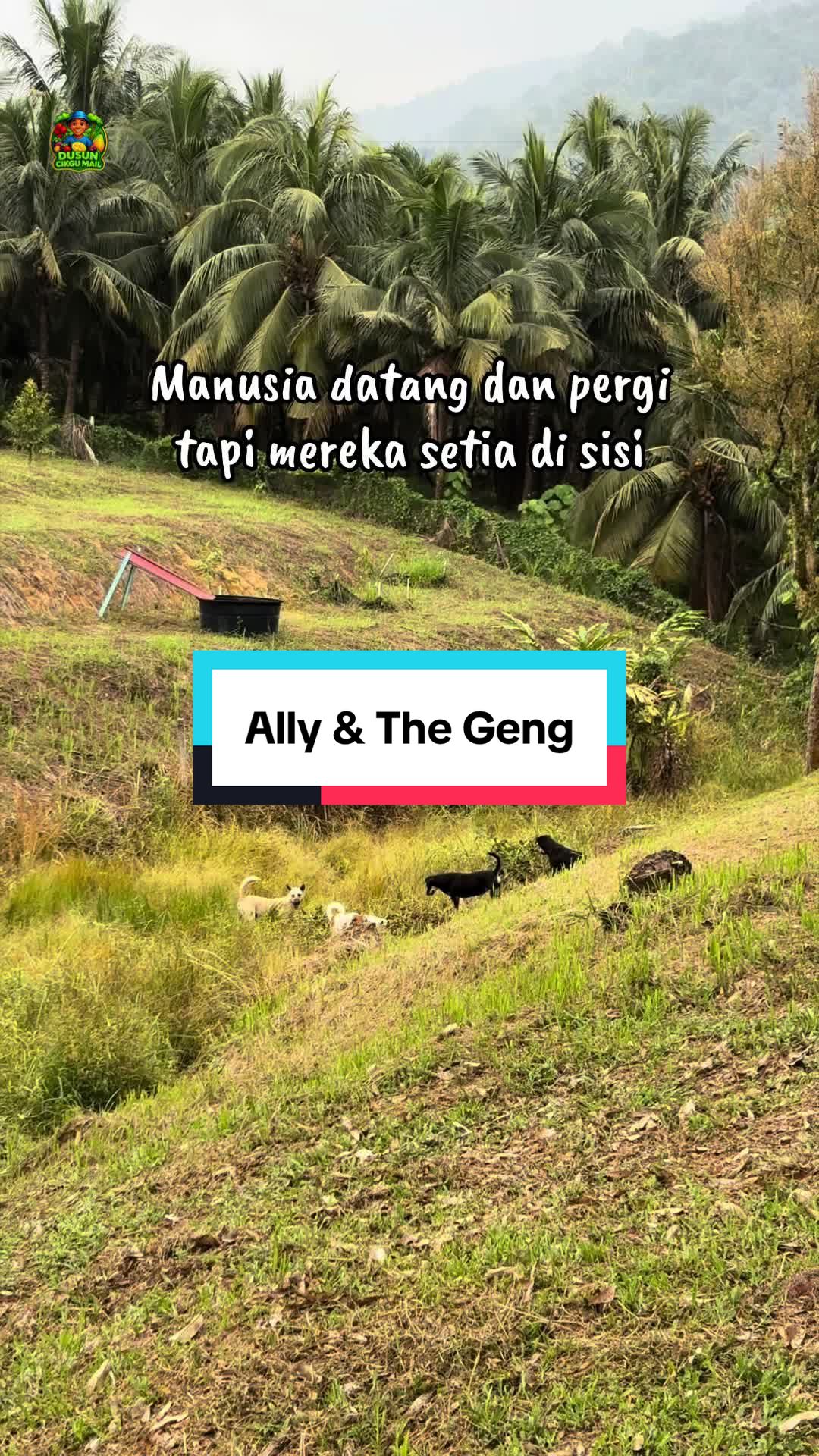@Dusun Cikgu Mail