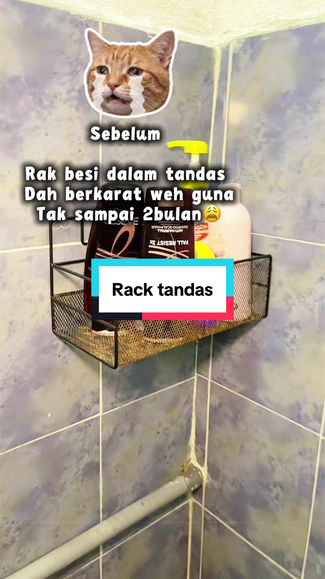 @𝓐𝓼𝓱𝓲𝓻𝓪𝓪𝓺𝓲𝓻𝓪𝓱