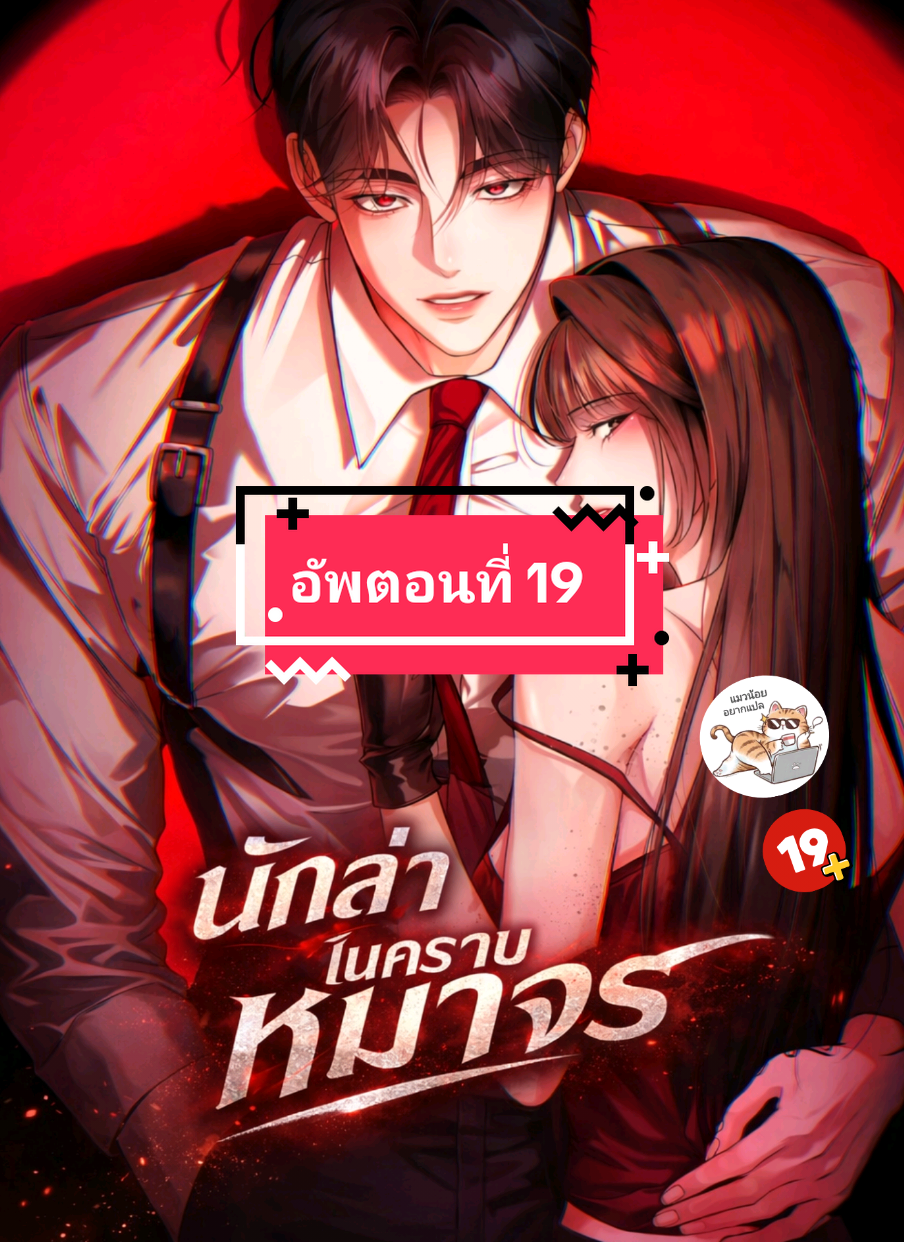 @แมวน้อย