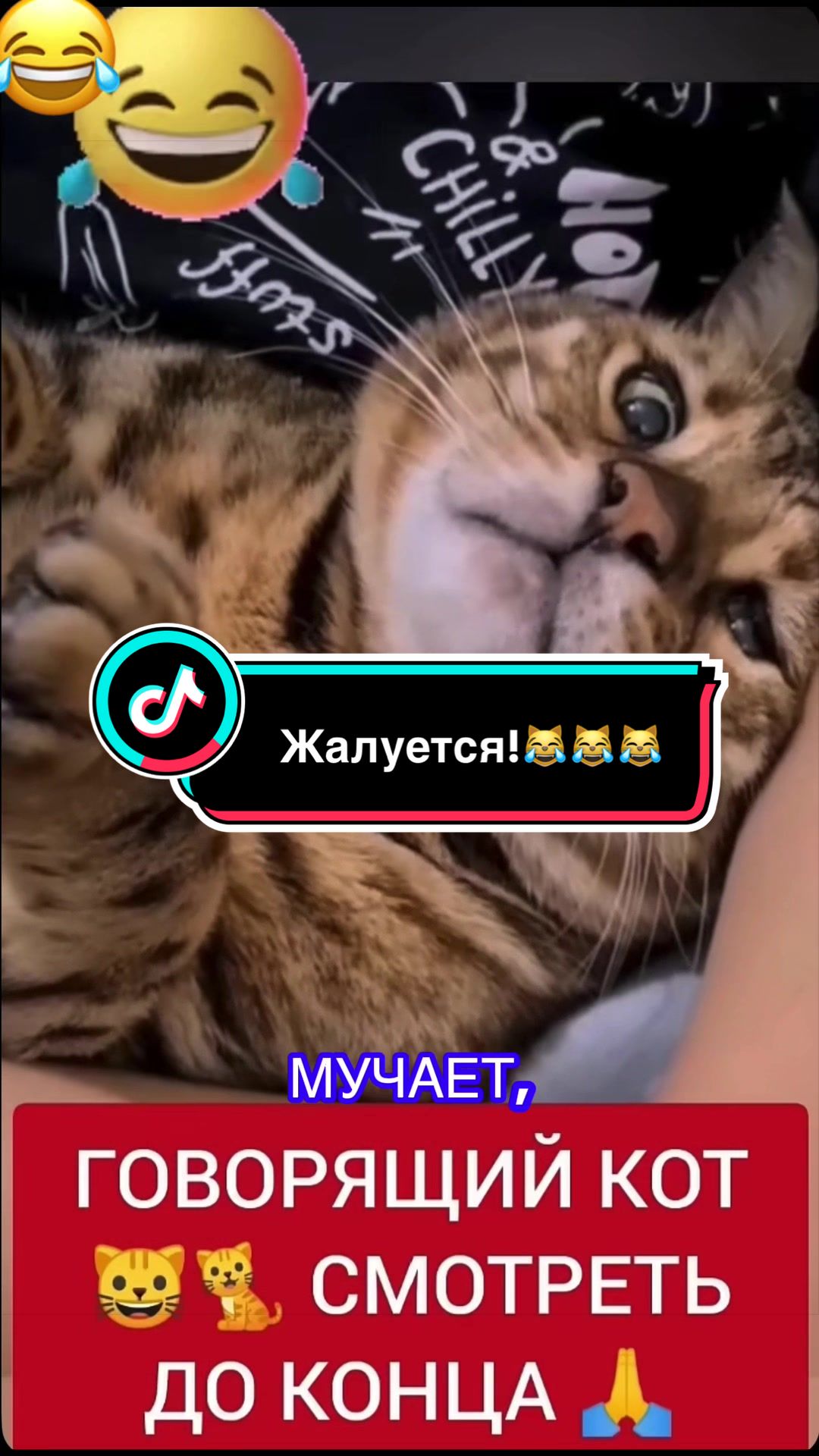 @Саня Пагон &clubs;️