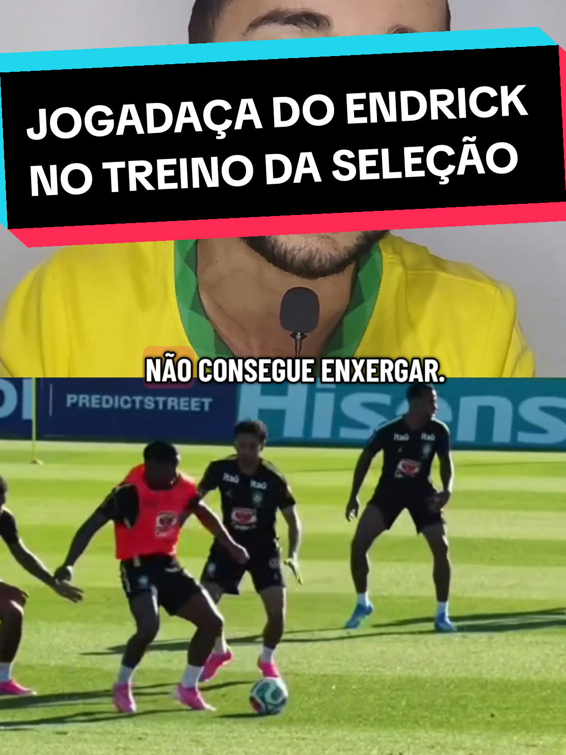 @analistaleigo