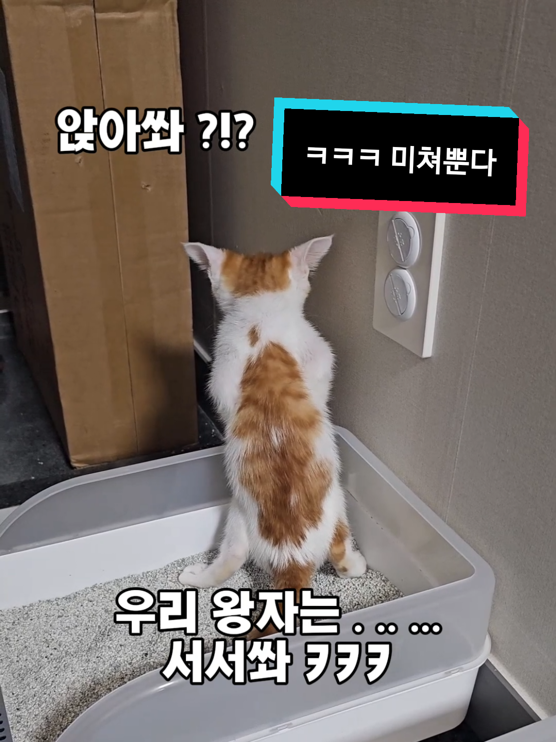 @๐ง๐น๊ผญ์ง์ ํธํ๋๐ชถ๐ง