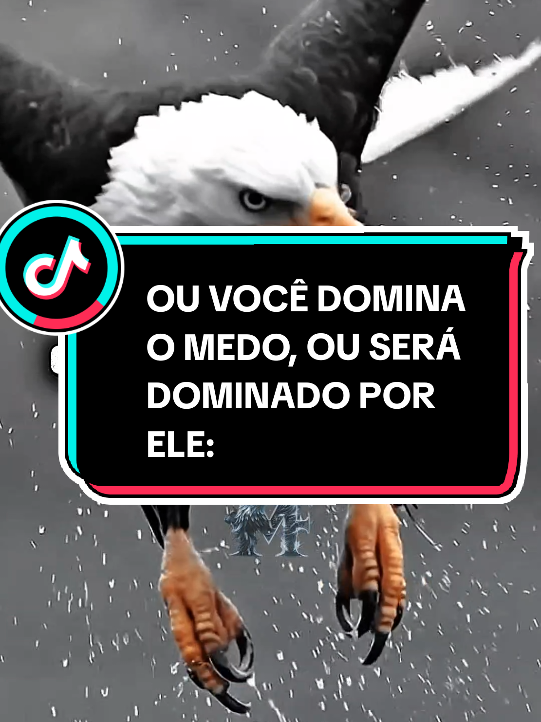@Massa_FrasesOfc