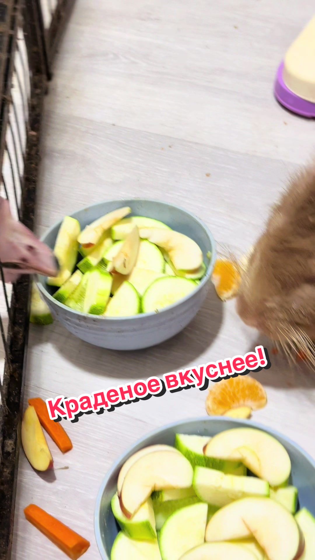 @Пафнутрий
