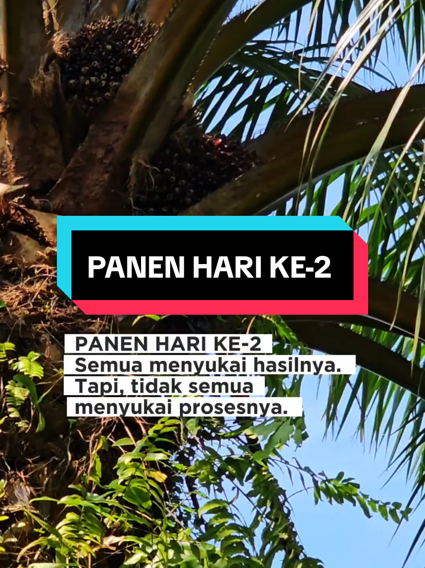 @Mr JARNAWI