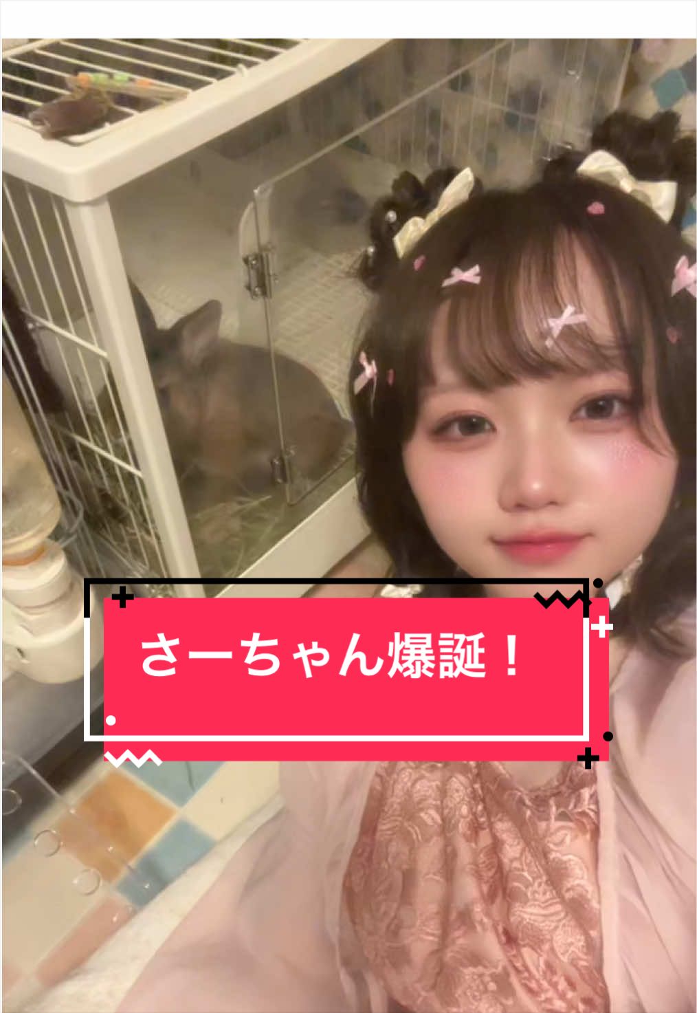 @さーちゃん🍩わらつぶ🐰