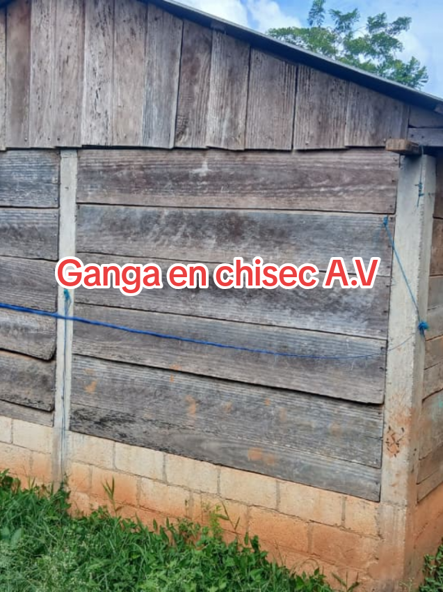 @bienesraiceslos3tuxitos