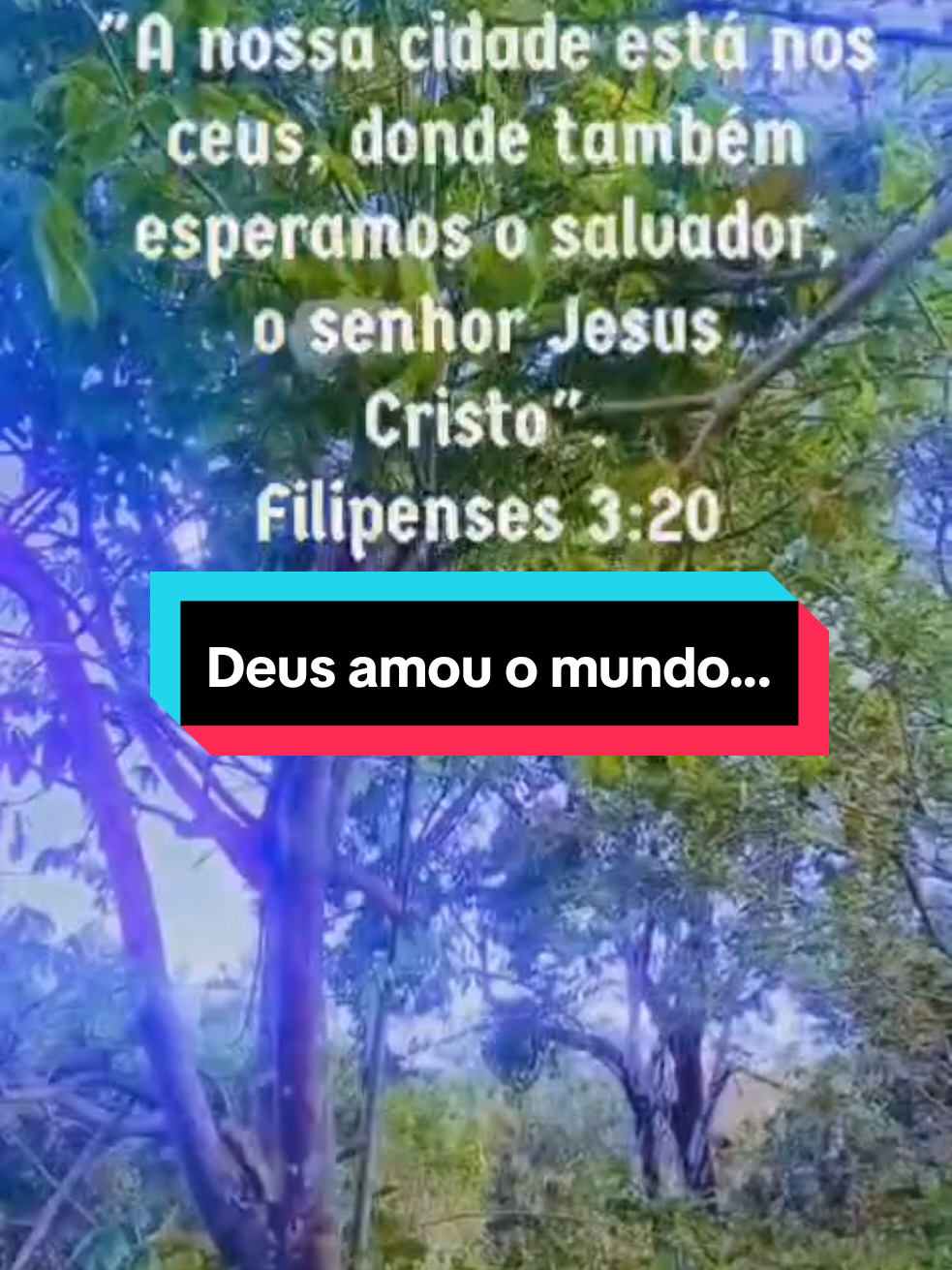 @Maria Paiva paiva