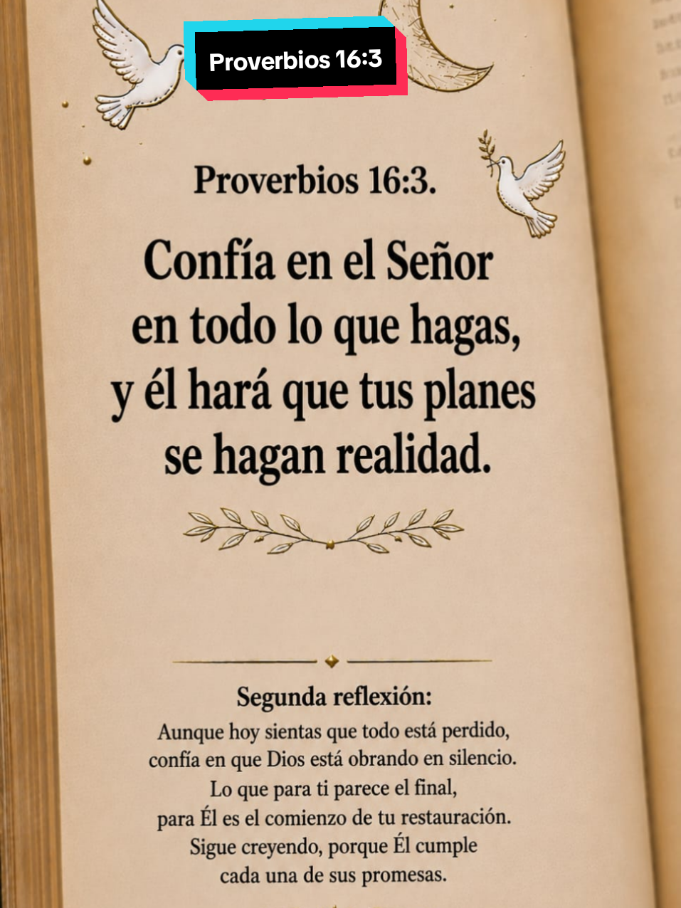 @🎊 Felicidad 🎊