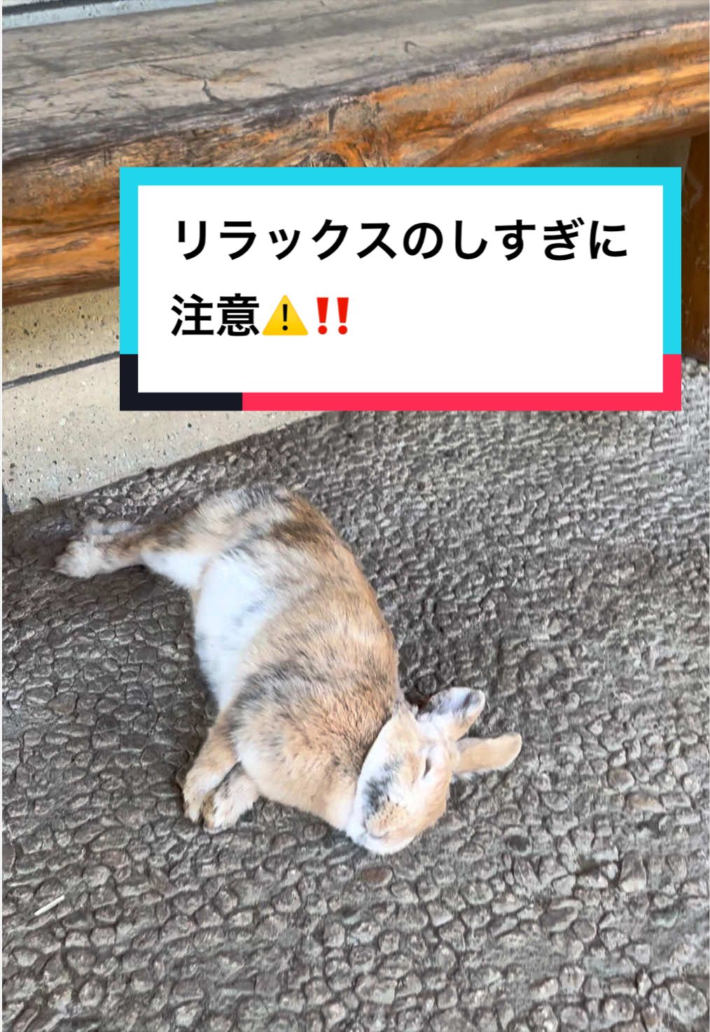 @【公式】月うさぎの里