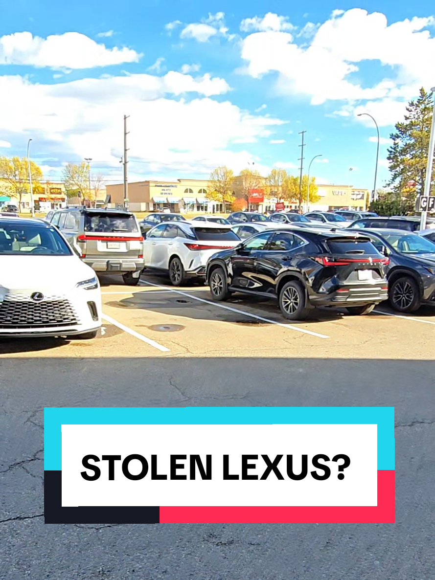 @thelexuswoman