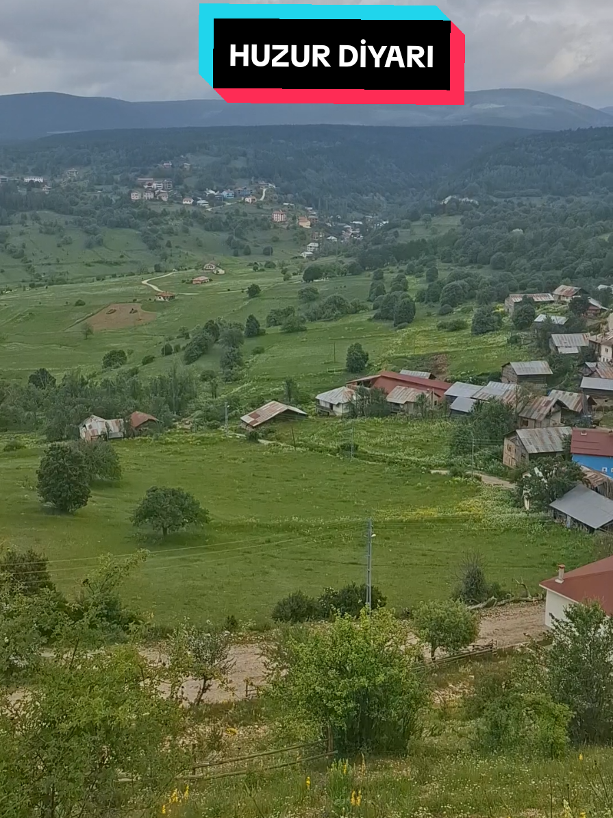 @ufuk