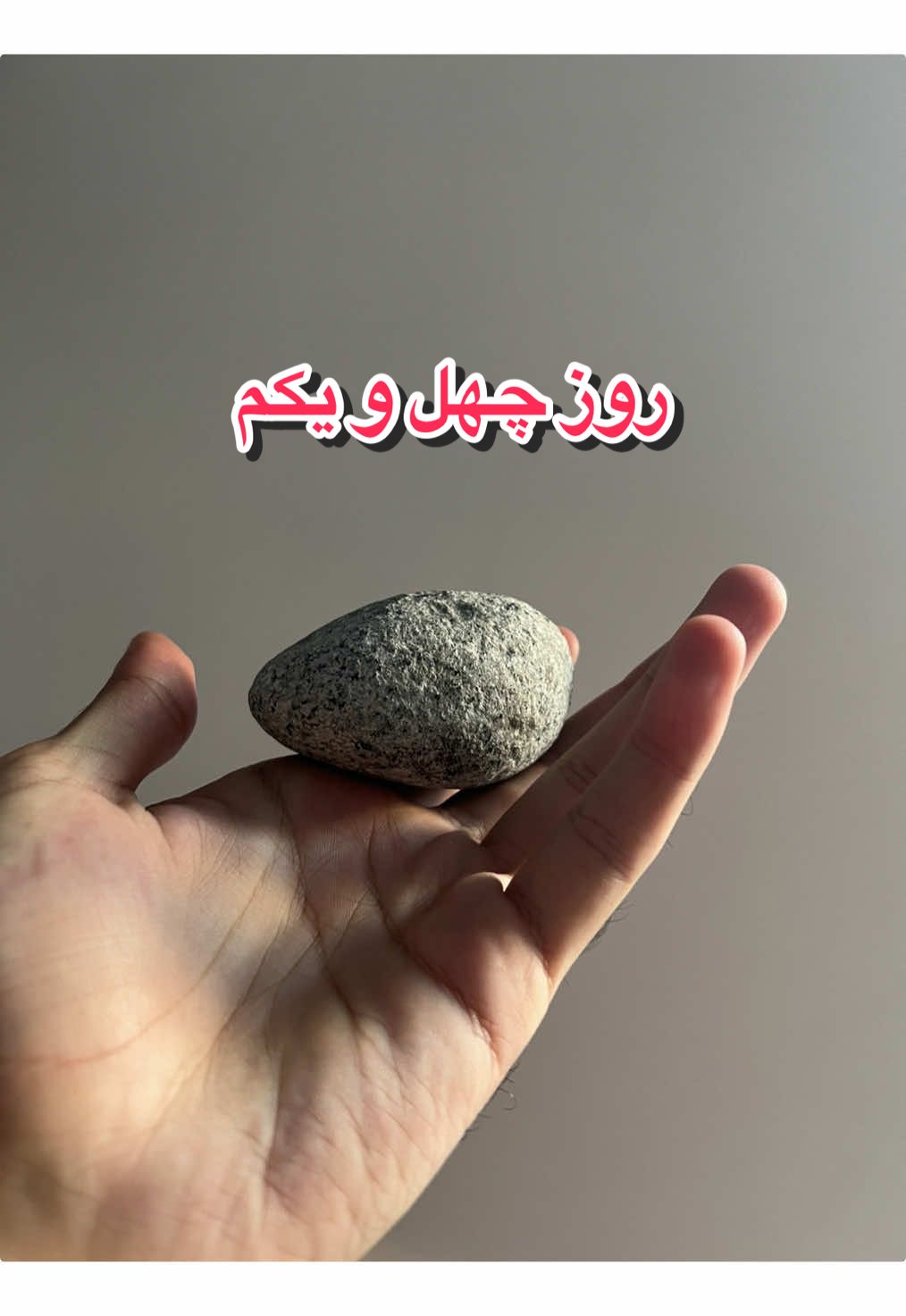 @قلی | یه حیوون خونگی متفاوت