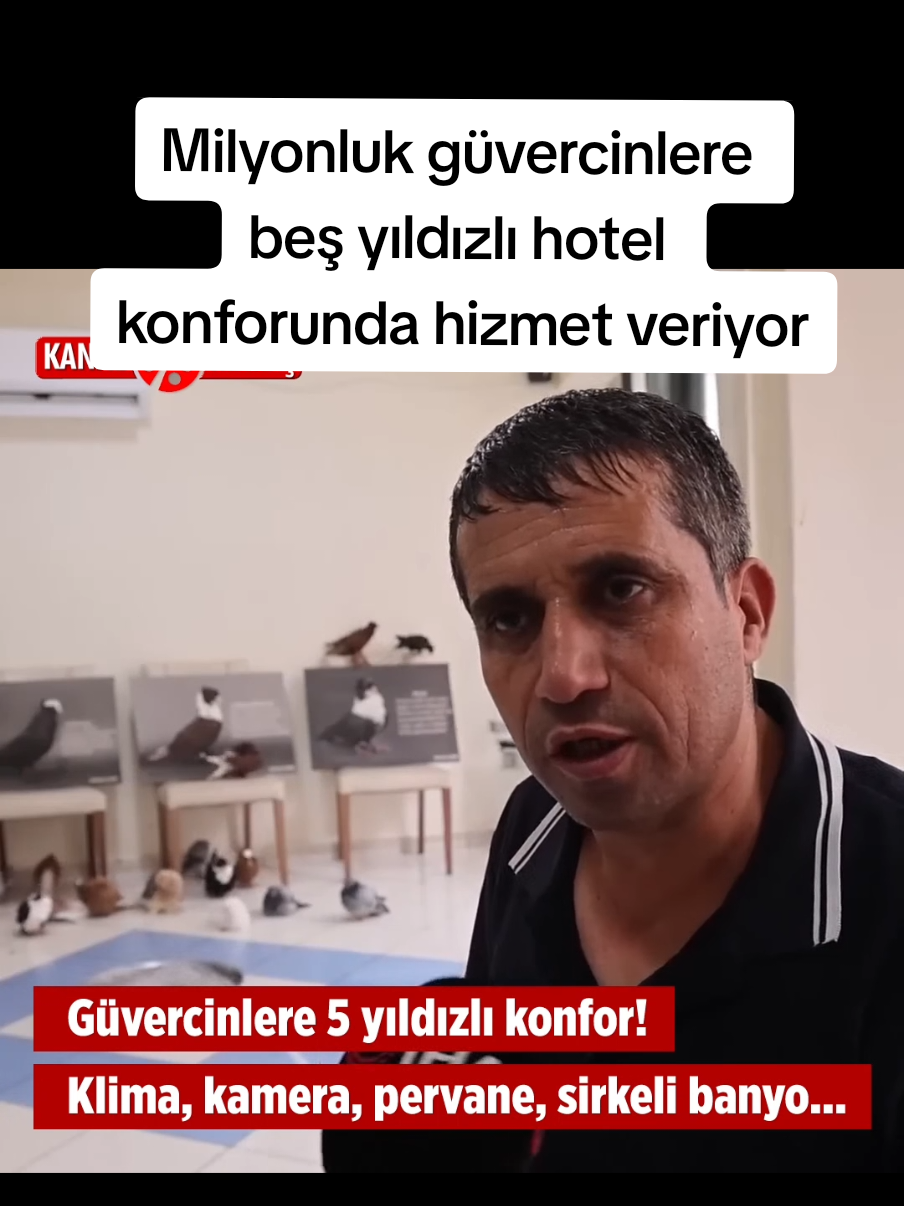 @Sorgunadair