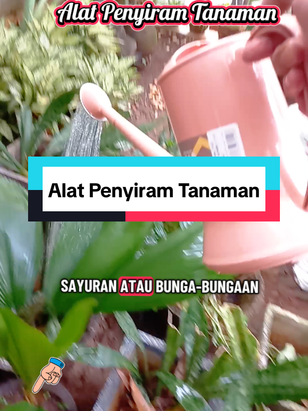 @Roslan.Robert