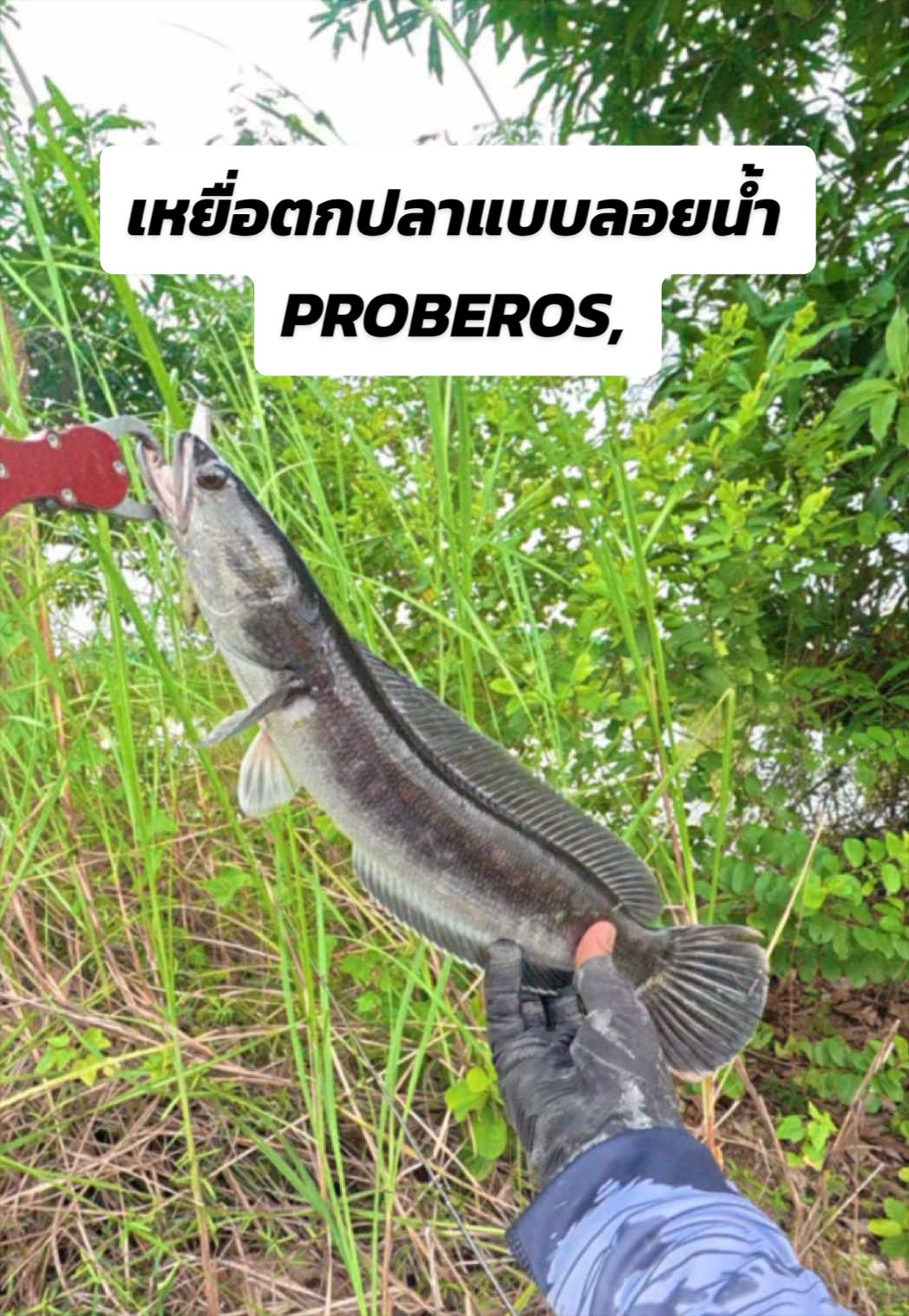 @น้ากอล์ฟ fishing ชอบแต่งรถ