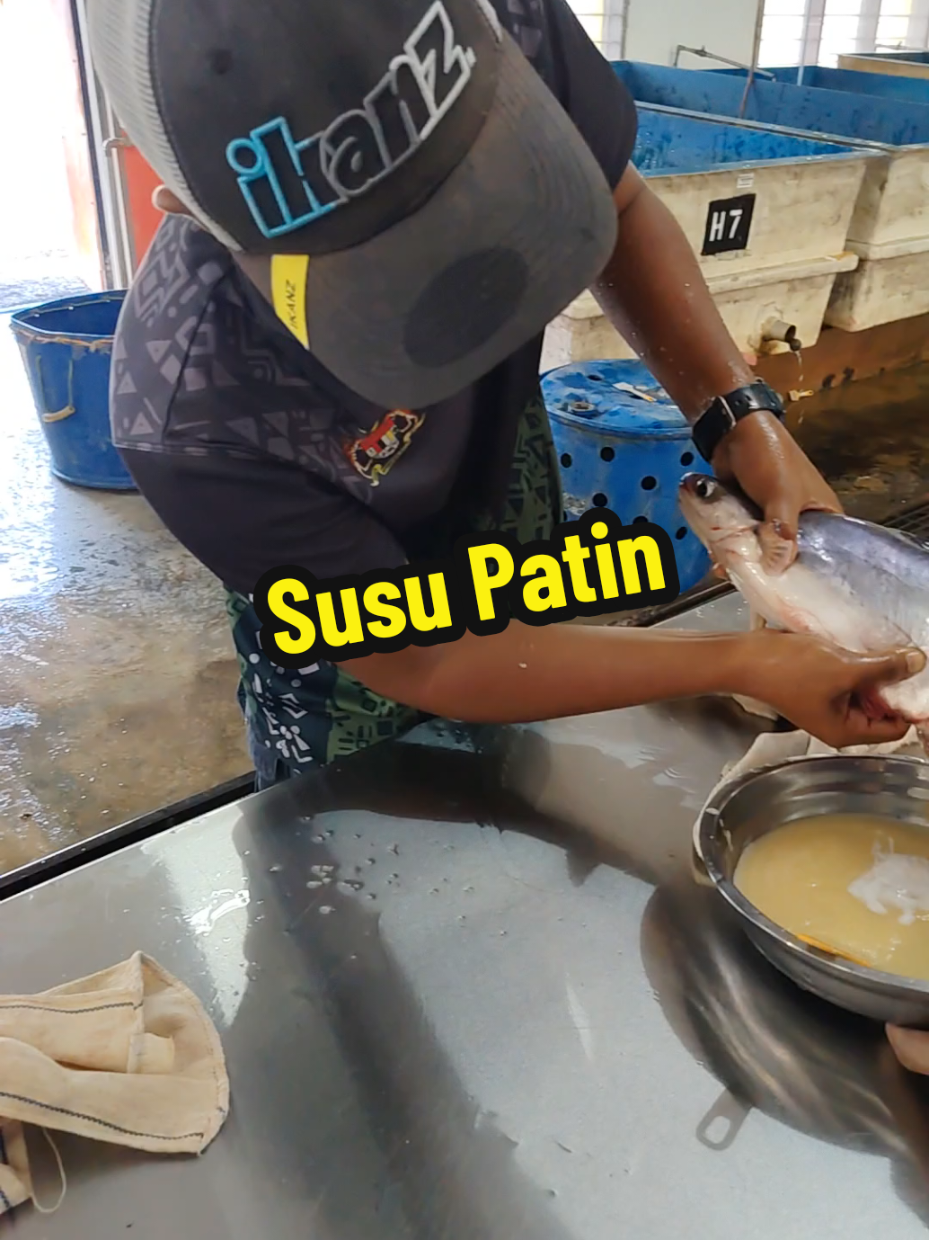@DiZuL