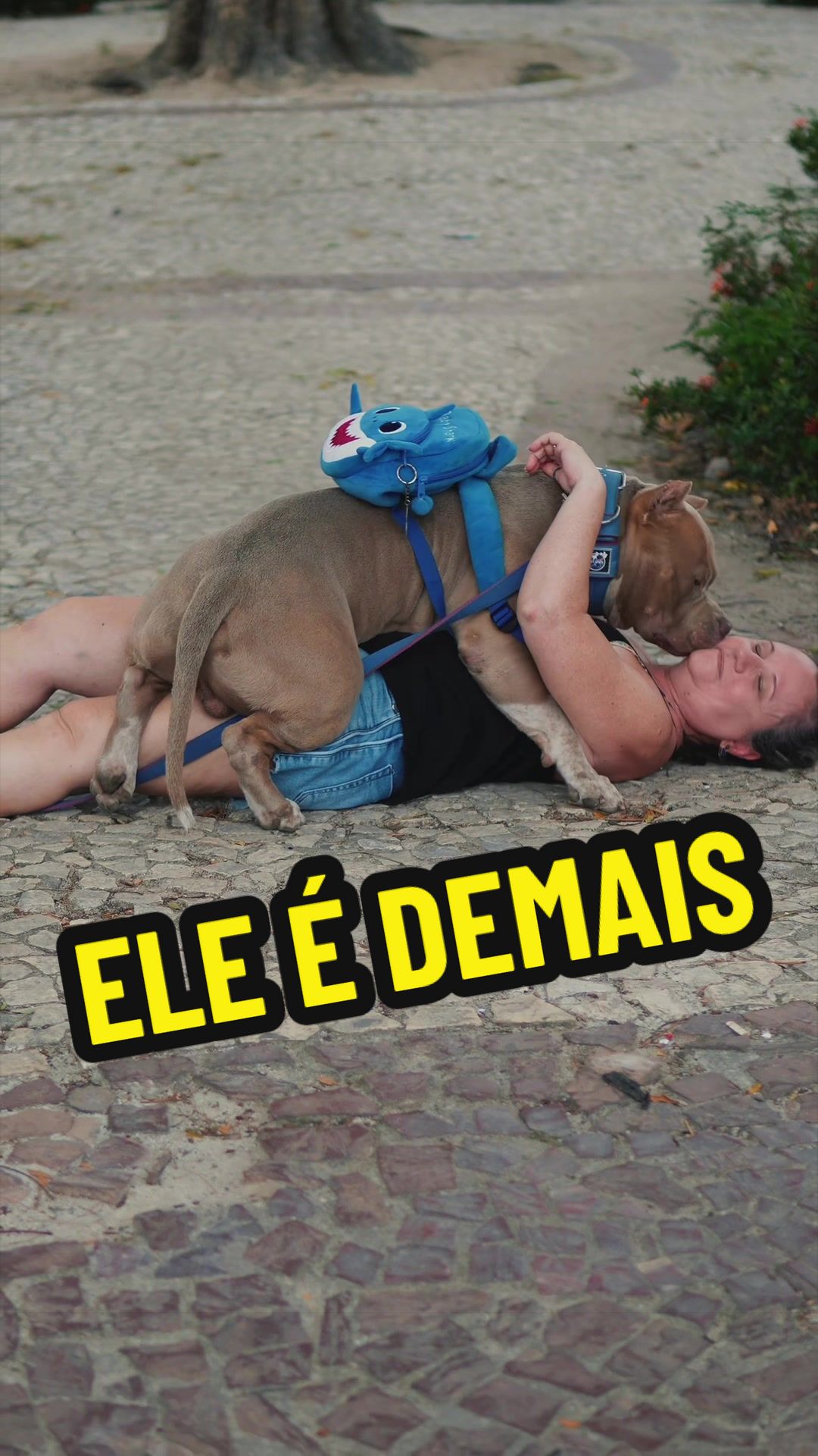 @Família Ragnar 🐶