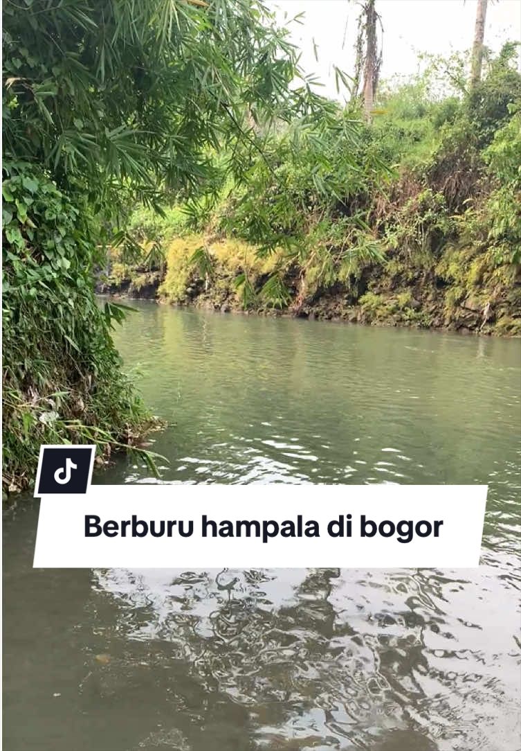 @Bang Fajri 🎣