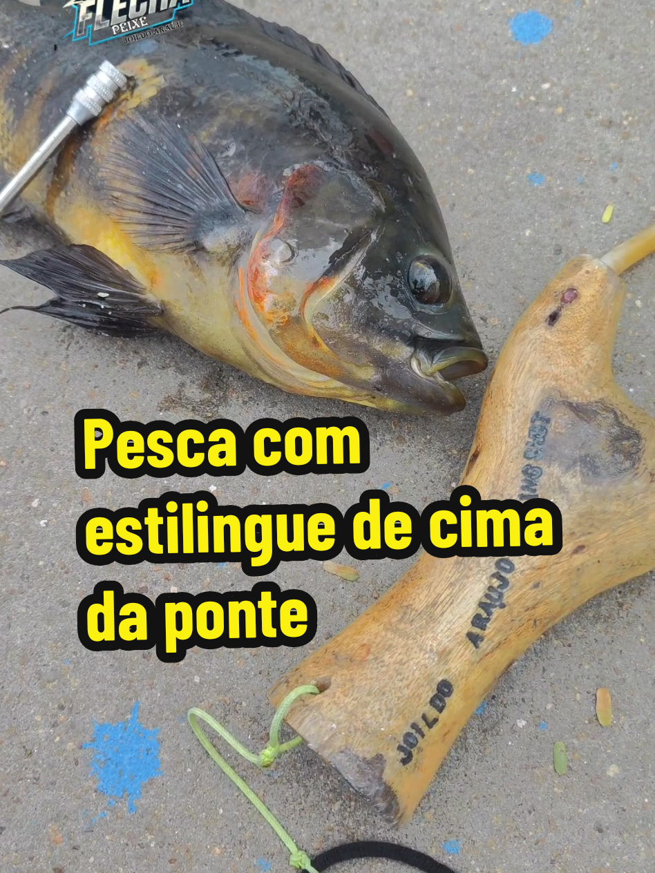 @Joildo Araujo