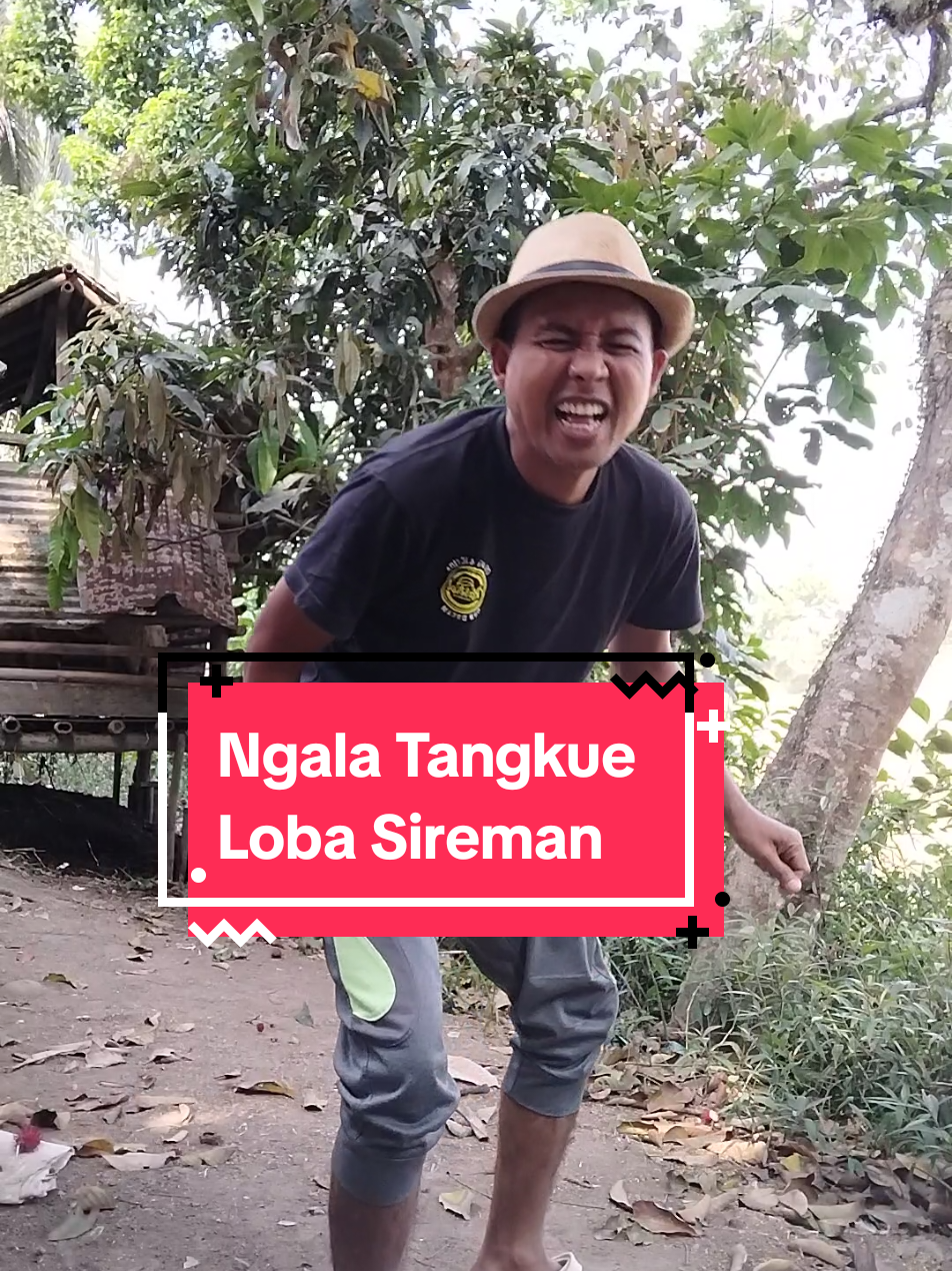 @Qy Domblang